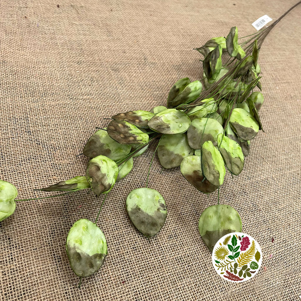 Artificial 'Lunaria' (Green) 126cm (Per Stem)