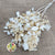 Hydrangea Flower 'Noriutsuga' (Small Leaf) (Bleached) (DRY) (x2)