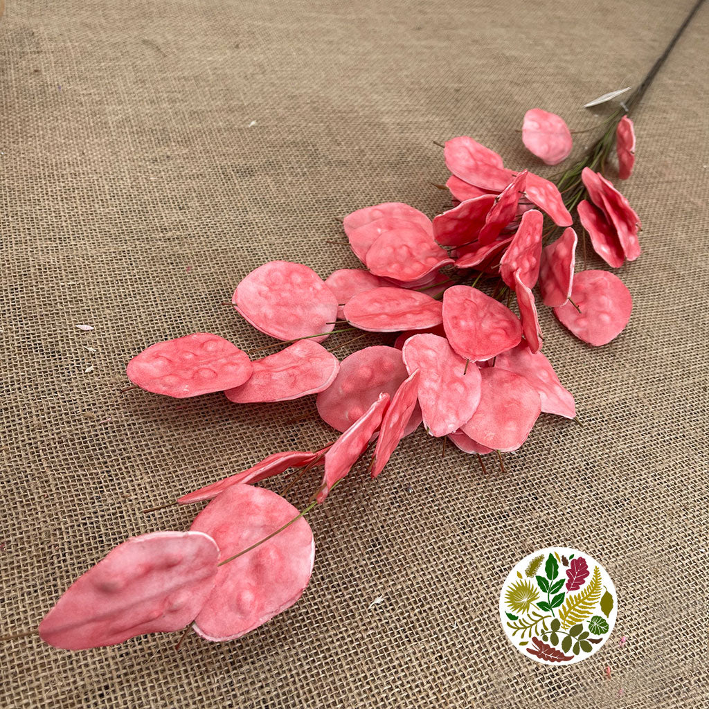 Artificial &#39;Lunaria&#39; (Pink) 126cm (Per Stem)