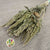 Amaranthus 'Flower' (Natural Green) (DRY) 50cm