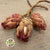 Protea 'Grandiceps' DRY (x2)