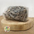 Driftwood 'Pieces' (White Wash) (DRY) (500g)