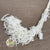 Amaranthus 'Trailing' (Bleached)