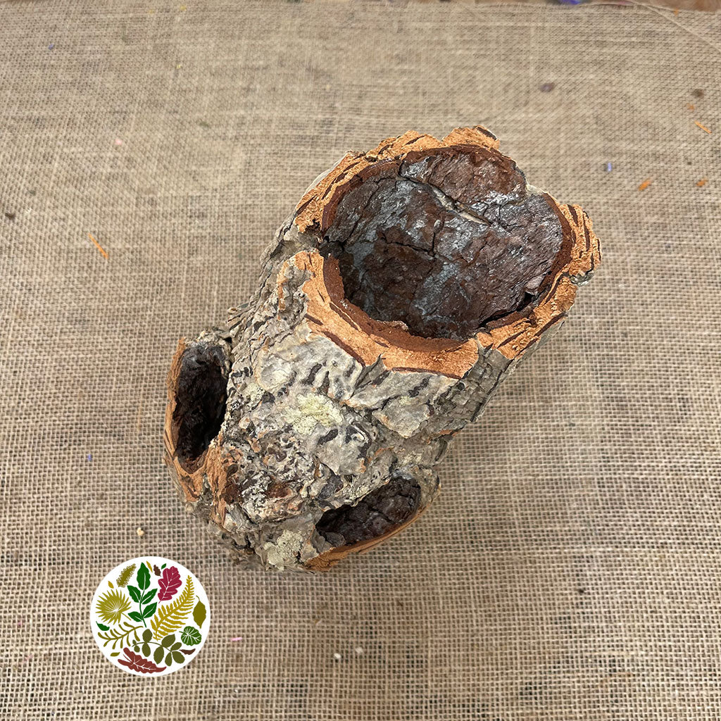 Cork Bark &#39;Cylinders&#39; (Small Round) (DRY)