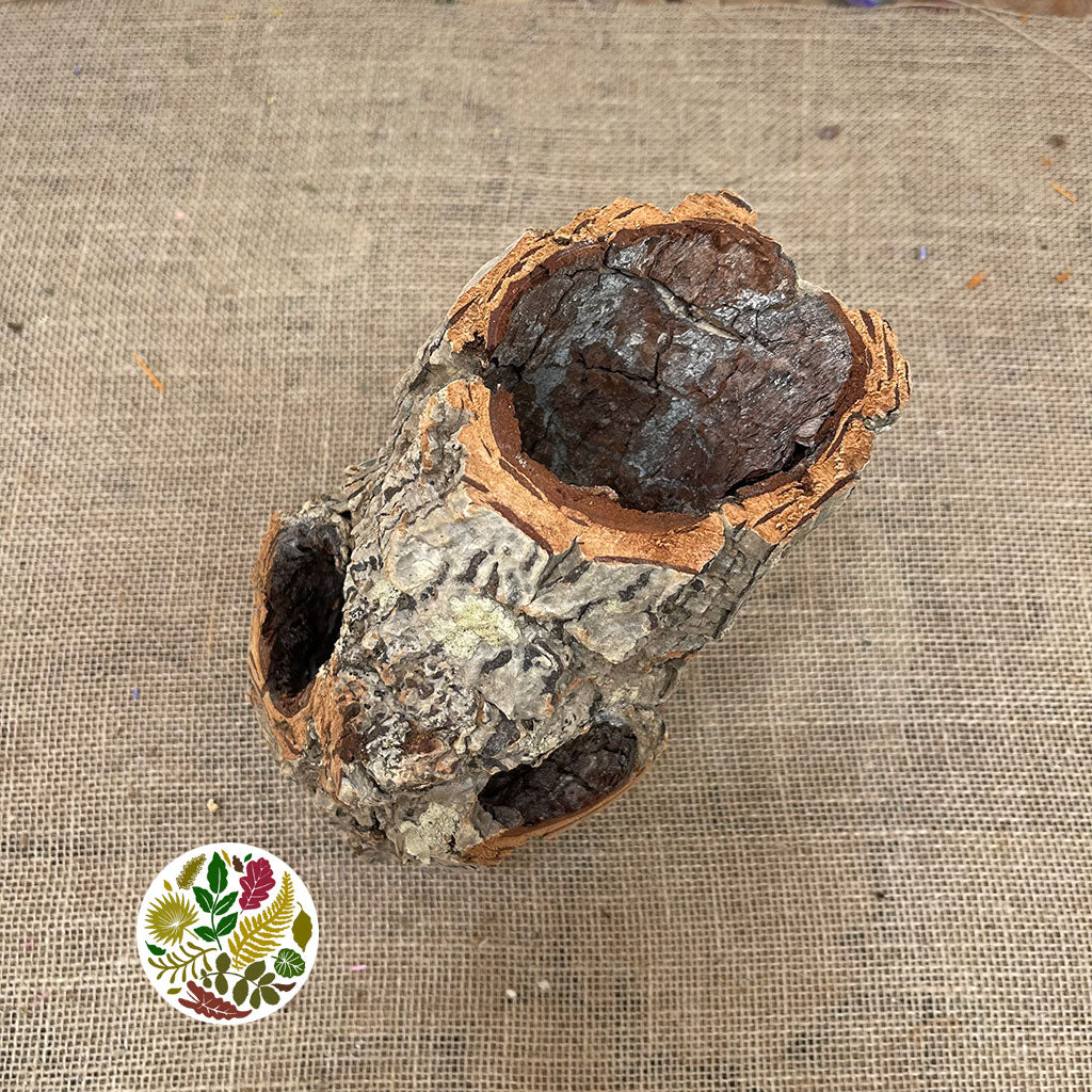 Cork Bark 'Cylinders' (Small Round) (DRY)
