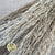 Pampas "Reed Grass" Natural DRY "Premium Quality" (x5)