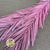 Palm 'Phoenix' (Painted & Glitter) 110cm (Various Colours) (x5)