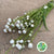 Rodanthe 'White' Flower (Fresh)