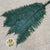Fern 'Sworn Fern' (Preserved) (Green) (x10)