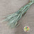 Wheat (Triticale) Grass DRY