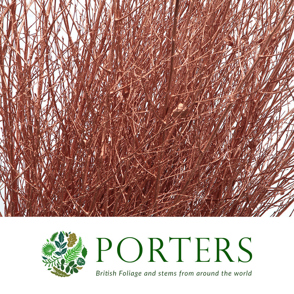 TALL TWIG &#39;COPPER&#39; (Painted)