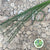 Grass 'Flexi Grass' 90cm (x45)