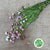 Rodanthe 'Pink' Flower (Fresh)