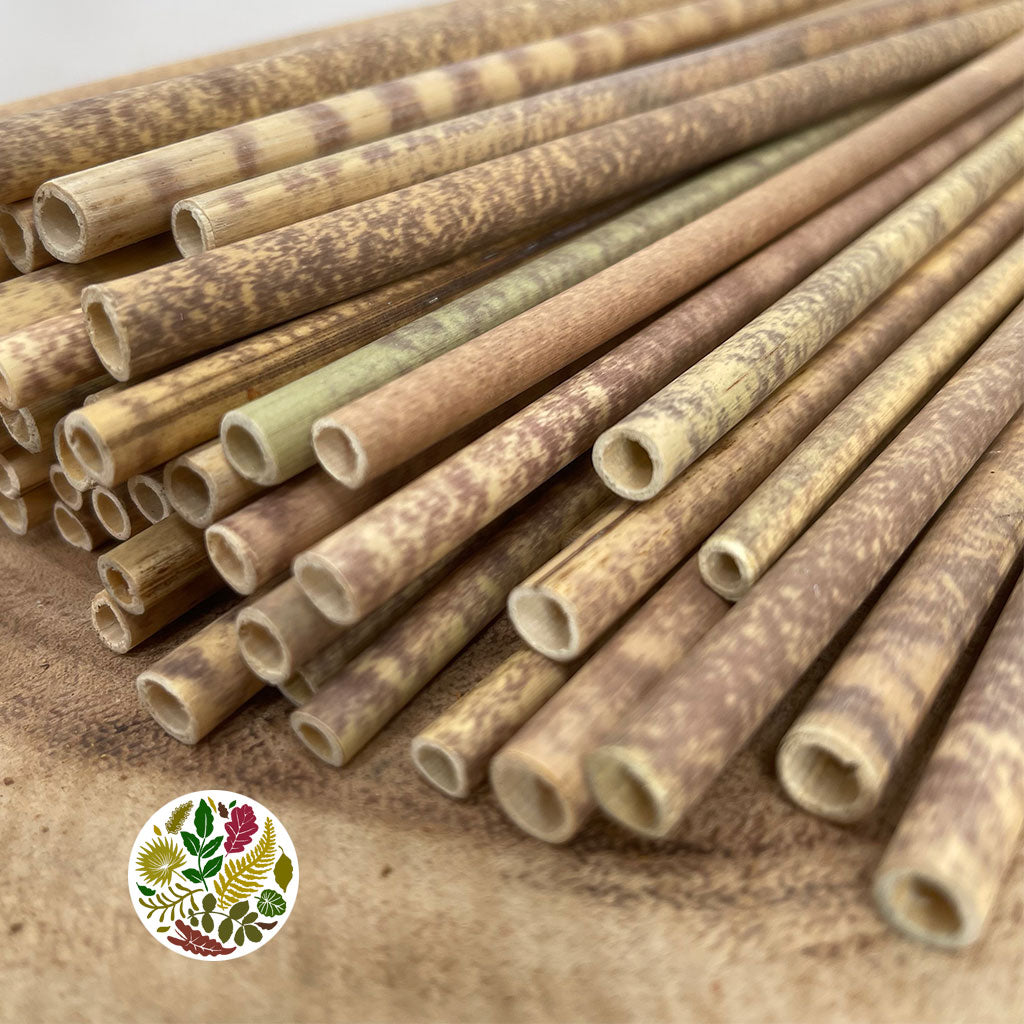 Bamboo &#39;Straws&#39; 20cm (approx 100pcs)