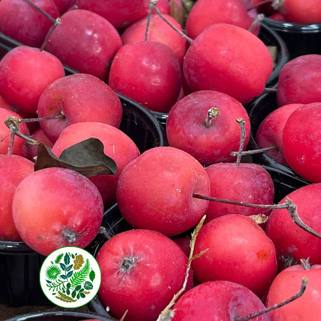 Apples &#39;Crab Apples&#39; (Red) (Small Punnet)