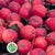 Apples 'Crab Apples' (Red) (Small Punnet)