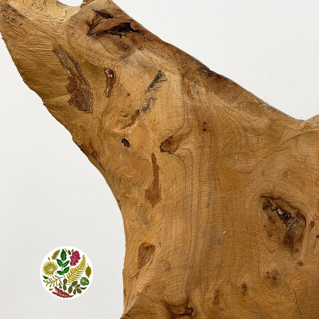 Olive Wood 'Sculpture' (DRY) H70