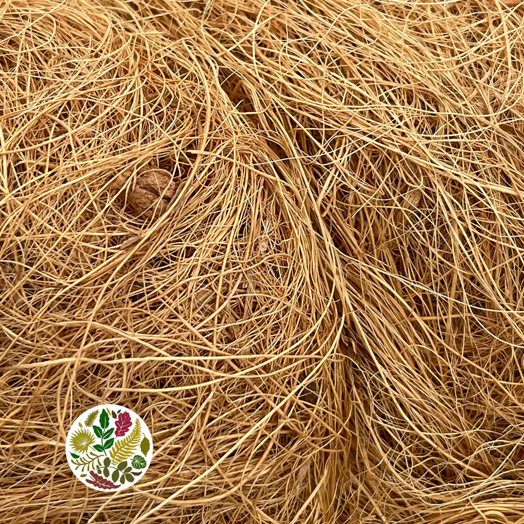 Coco 'Fibre' (Natural) (DRY) (500g)