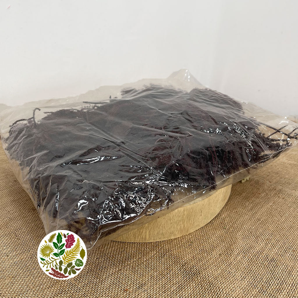 Moss 'Erica' (Red) (DRY) (500g)