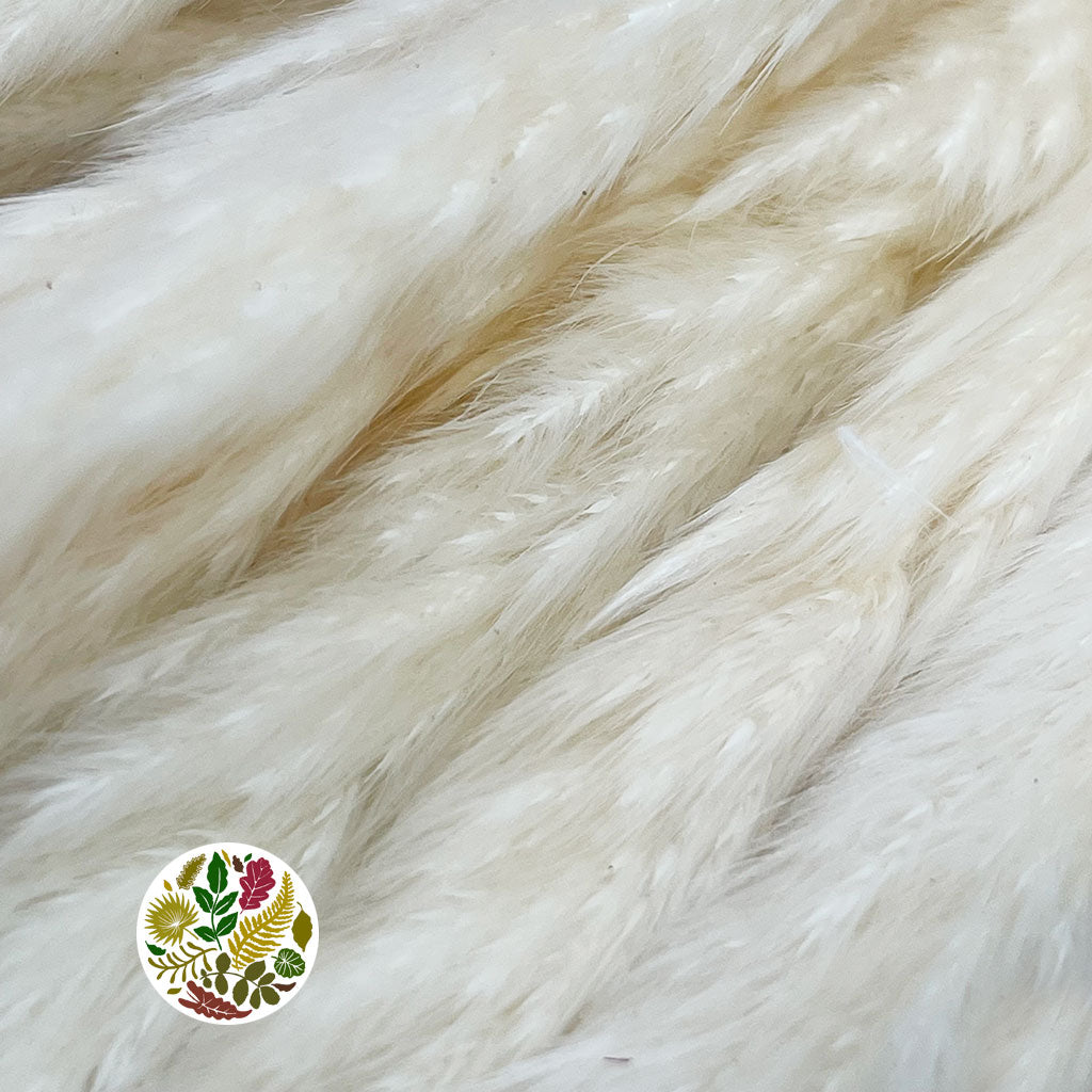 Grass 'Tail Reed' (Bleached) (Fluffy Baby) (DRY) (x10)