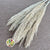 Grass 'Reed Grass' (Half Bleached) (DRY) (Premium Quality) (x5)