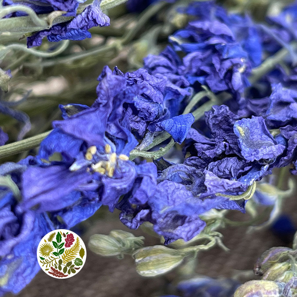 Delphinium Flowers DRY (Natural Blue)