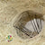 Salim 'BQ Holder' (Bleached)  (DRY) (Various sizes)
