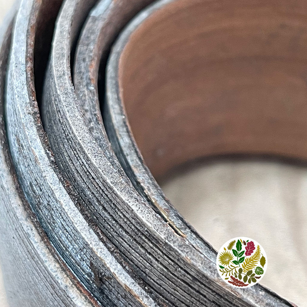 Coconut 'Galara Mini' (Natural) (DRY) (5pcs)