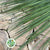 Grass 'Steel Grass' (x35) 1.2m