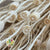 Poppy 'Heads' (Bleached) (Various Sizes) (DRY)