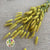 Lagurus (Yellow) DRY 80cm (100g)