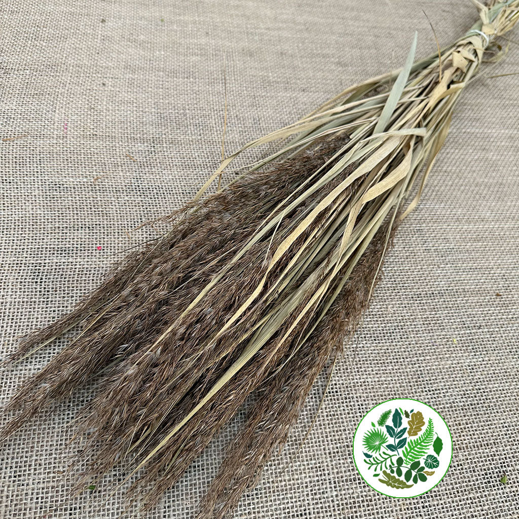 Grass &#39;Siergrass&#39; (DRY) (Wild Bunch) (Natural) 75cm