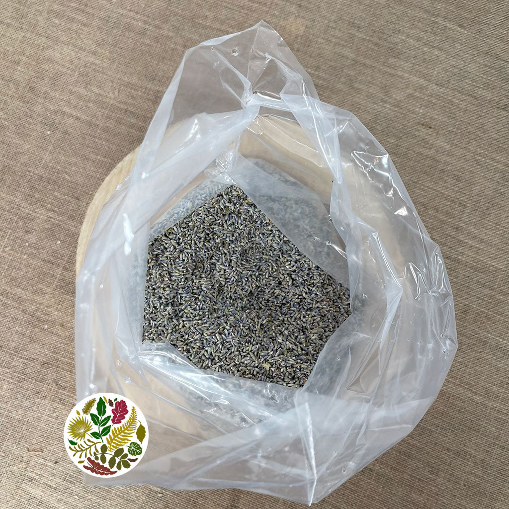 Lavender &#39;Flower Seed&#39; (DRY) (400g)