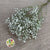 Gypsophila (Natural) (DRY)