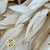 Eucalyptus 'Willow' (Bleached) (DRY)