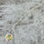 Asparagus (Bleached) (White) (DRY) 30cm (x5)