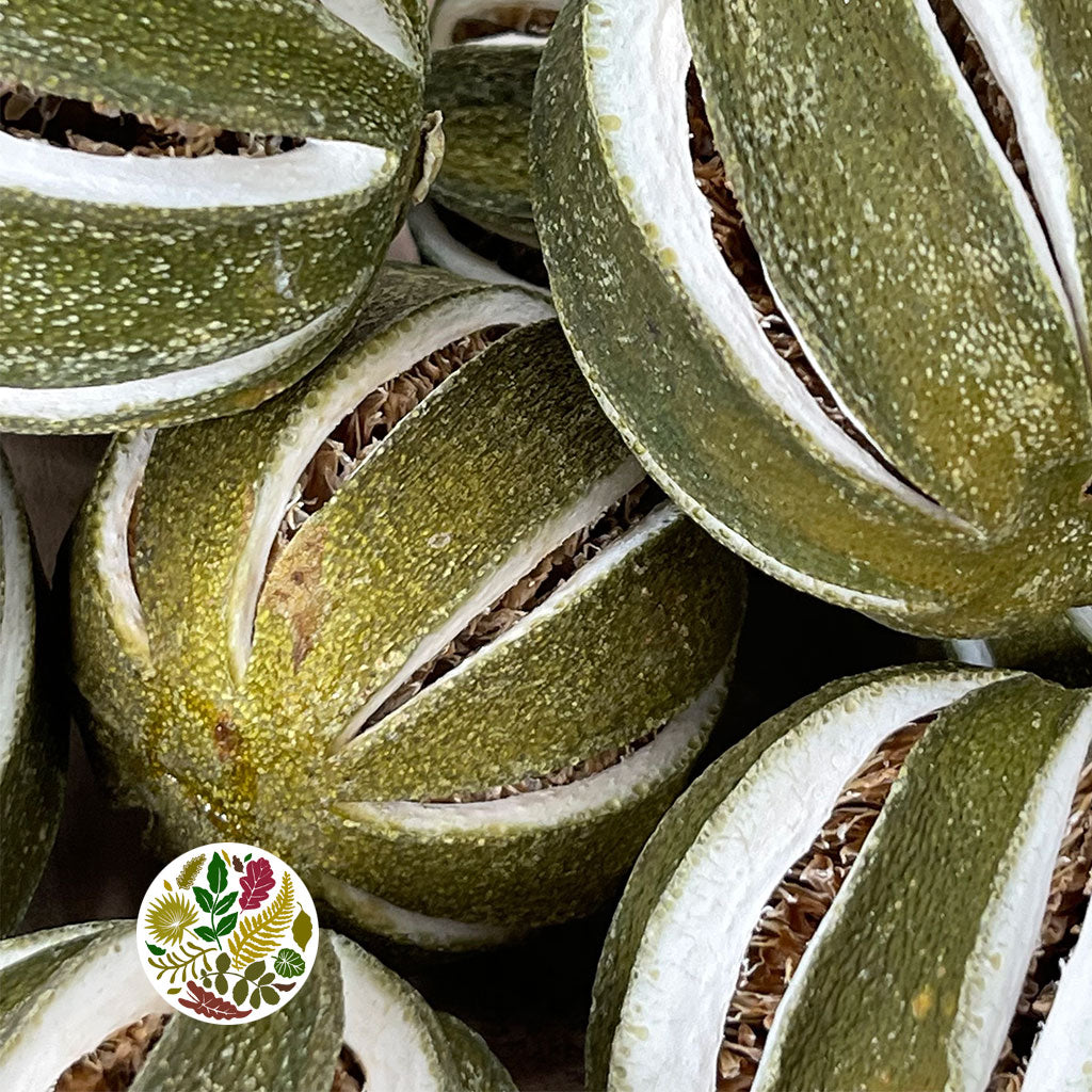 Fruit 'Orange Whole (Green Natural) (DRY) (250g)