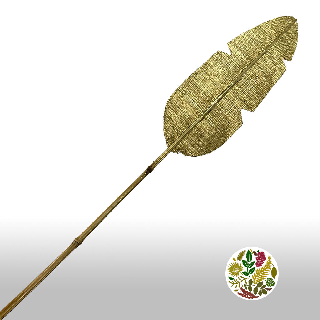 Artificial &#39;Bamboo Leaf&#39; (Gold) (DRY) 190cm (Per Stem)