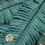 Fern 'Sworn Fern' (Preserved) (Green) (x10)
