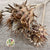 Artichoke (Natural) 70cm (DRY) (Per Stem)