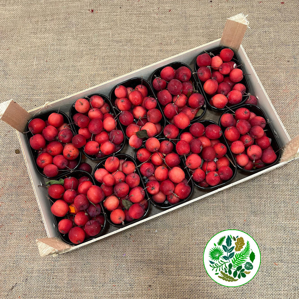 Apples &#39;Crab Apples&#39; (Red) (Small Punnet)