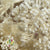 Achillea 'Parker' (Bleached) (DRY)