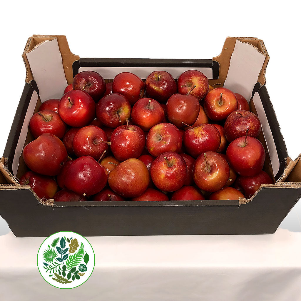 Apples 'Spartan' (Shinny) Tray
