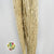 Grass 'Reed Grass' (Half Bleached) (DRY) (Premium Quality) (x5)