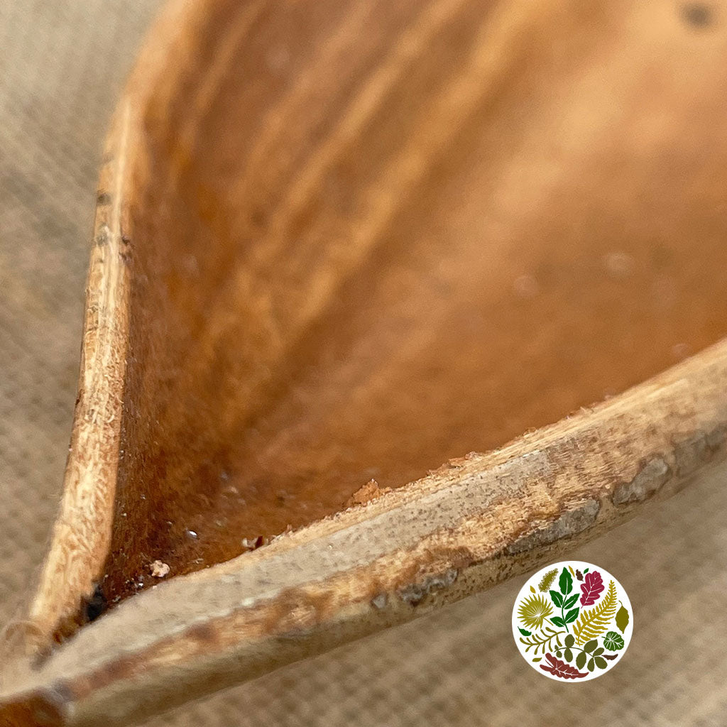 Coco 'Giant/Medium' (Natural) (DRY) 60/80cm