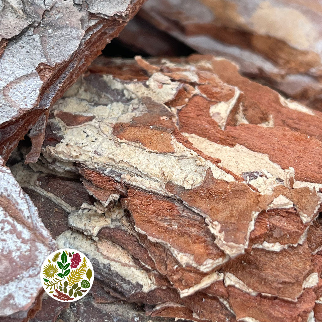 Bark &#39;Maritima&#39; (Natural) (DRY) (500g)