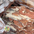 Bark 'Maritima' (Natural) (DRY) (500g)