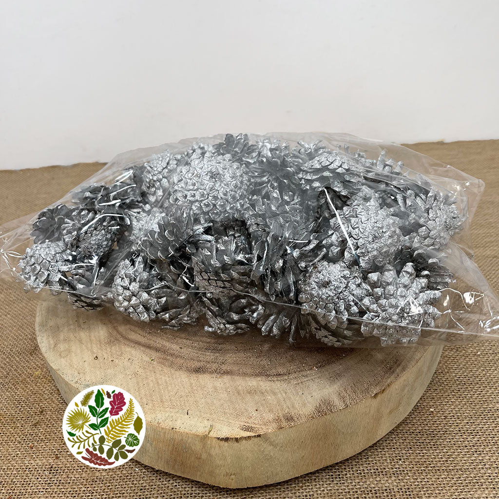 Silvester Silver Cones DRY Painted 500g