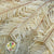 Fern 'Umbrella' (Bleached) (DRY) (x10)