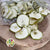 Apple Fruit 'Slices' DRY (Natural Green) 200g